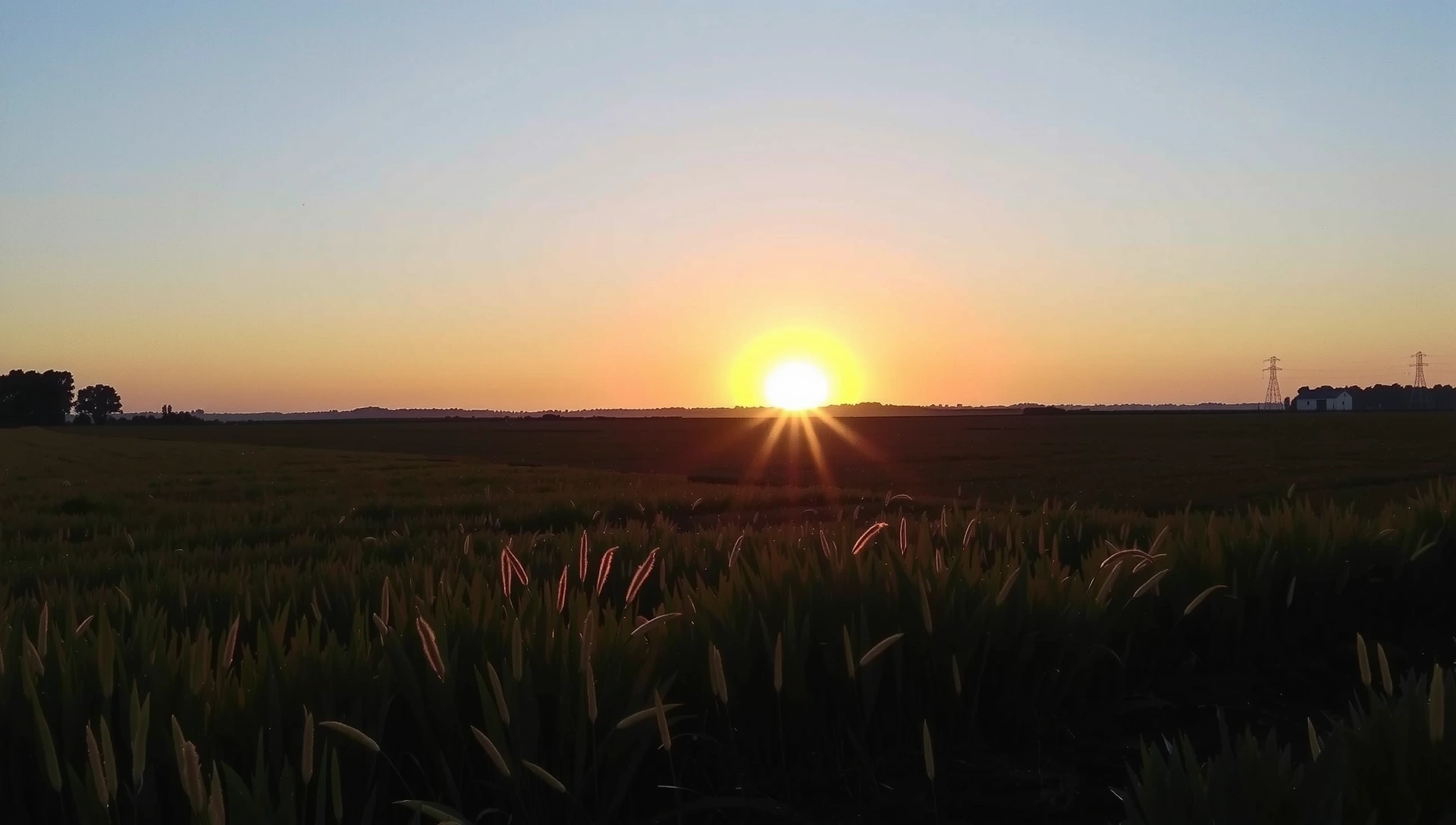 Spokojny, naturalny krajobraz z wschodzącym słońcem nad polem, symbolizujący nowe początki i czystość